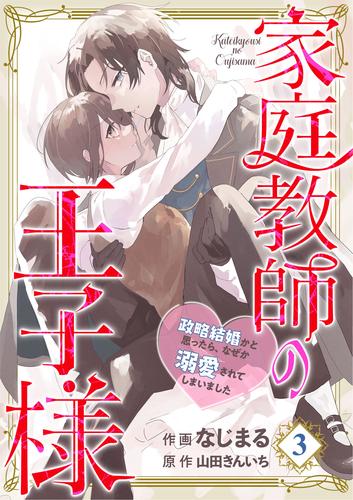 【分冊版】家庭教師の王子様～政略結婚かと思ったら、なぜか溺愛されてしまいました～(３)