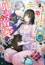 [ライトノベル]チョコレート聖女は第二王子に甘く庇護&溺愛される 異世界トリップしたら作ったアレが万能薬でした (全1冊)