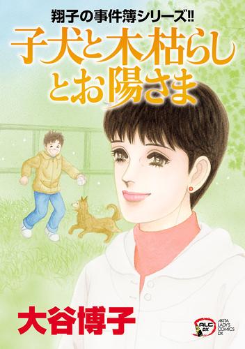 特価ネット通販 大谷博子 翔子の事件簿 15冊セット 9c5c6d0d 店舗や値段セール Cfscr Com