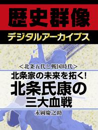 ＜北条五代と戦国時代＞北条家の未来を拓く！　北条氏康の三大血戦