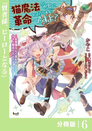 猫魔法が世界に革命を起こすそうですよ？【分冊版】（ノヴァコミックス）６