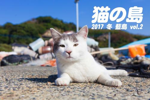 猫の島 2017 冬 藍島 vol.2