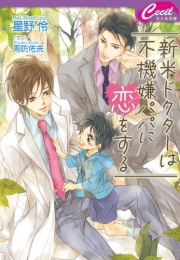 [ライトノベル]新米ドクターは不機嫌パパに恋をする (全1冊)