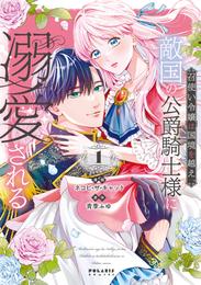 召使い令嬢は国境を越え、敵国の公爵騎士様に溺愛される（１）
