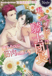 [ライトノベル]私のベッドは騎士団長 (全1冊)