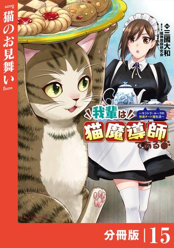 我輩は猫魔導師である～キジトラ・ルークの快適チート猫生活～【分冊版】（ポルカコミックス）１５