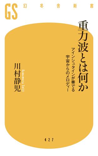 重力波とは何か　アインシュタインが奏でる宇宙からのメロディー