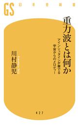 重力波とは何か　アインシュタインが奏でる宇宙からのメロディー