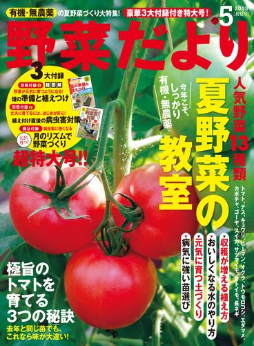 野菜だより2013年5月号