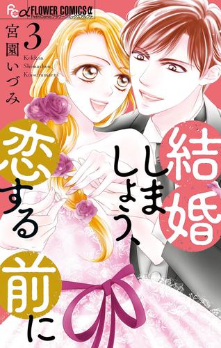 結婚しましょう、恋する前に（３）