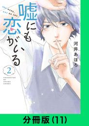 嘘にも恋がいる【分冊版（11）】