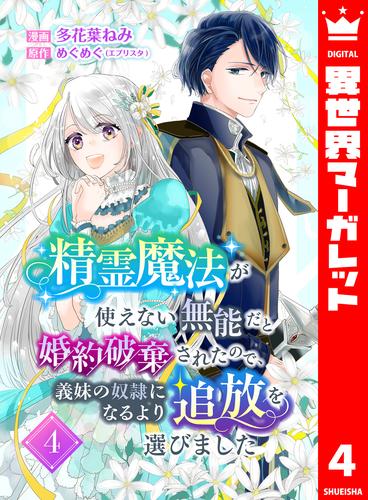 精霊魔法が使えない無能だと婚約破棄されたので、義妹の奴隷になるより追放を選びました 4