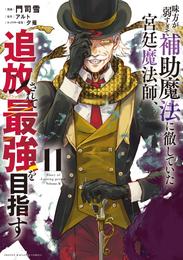 味方が弱すぎて補助魔法に徹していた宮廷魔法師、追放されて最強を目指す 11 冊セット 最新刊まで