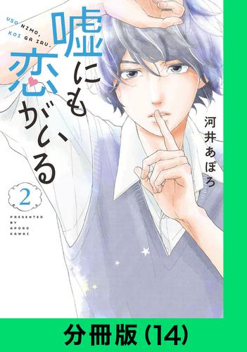 嘘にも恋がいる【分冊版（14）】