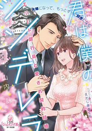 [ライトノベル]君は僕のシンデレラ エリート銀行員と愛され契約結婚 (全1冊)