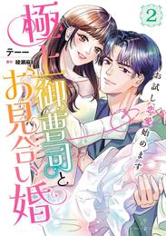 極上御曹司とお見合い婚～お試し恋愛始めます～ 2 冊セット 全巻