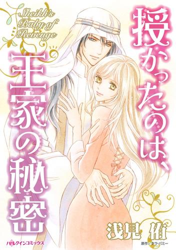 授かったのは、王家の秘密【分冊】 12 冊セット 全巻