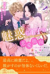 魅惑の王子の恋愛指南　～スパダリ紳士は姫を甘やかしたい～ 6 冊セット 全巻