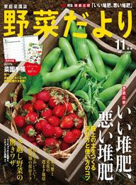 野菜だより2016年11月号