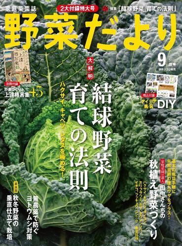 野菜だより2017年9月号