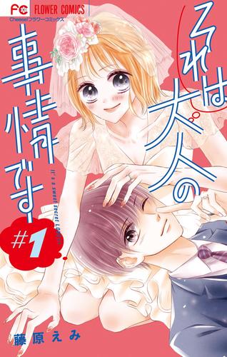 それは大人の事情です(1)