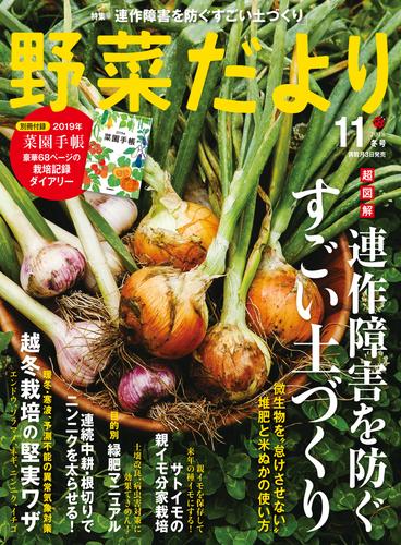 野菜だより2018年11月号