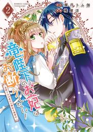 竜陛下のお妃はお断りしたい！～竜陛下は10番目の側妃を溺愛中～【電子限定特典付き】 (2)