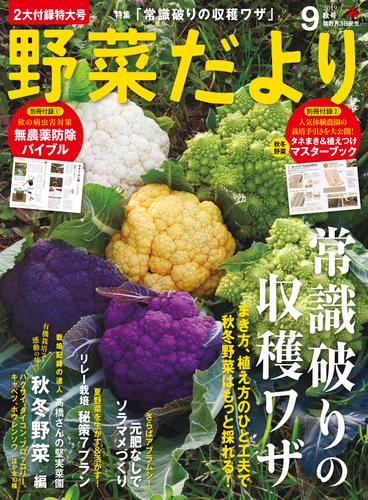 野菜だより2019年9月号