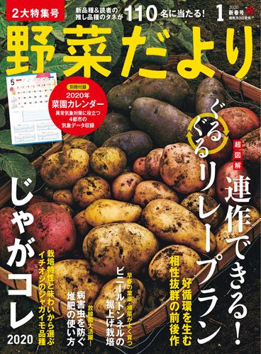 野菜だより2020年1月号