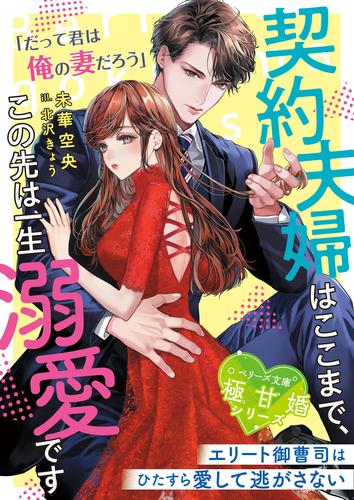 [ライトノベル]契約夫婦はここまで、この先は一生溺愛です〜エリート御曹司はひたすら愛して逃がさない〜 (全1冊)