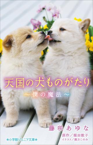 小学館ジュニア文庫　天国の犬ものがたり～僕の魔法～