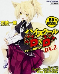 [ライトノベル]ハイスクールD×D DX.2 [BD付限定版]