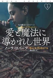 愛と魔法に導かれし世界（上）