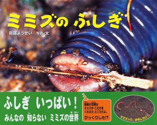 ミミズの ふしぎ