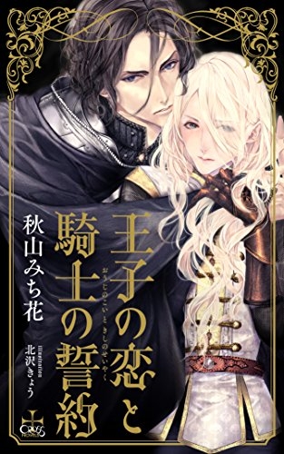 [ライトノベル]王子の恋と騎士の誓約(全1冊)