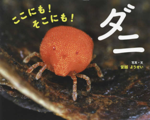 ここにも! そこにも! ダニ