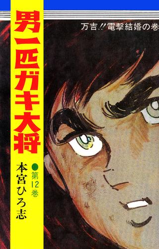 男一匹ガキ大将 第12巻 漫画全巻ドットコム