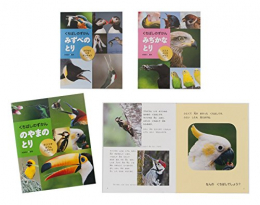 くちばしのずかん 全3巻セット