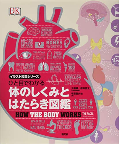 ひと目でわかる体のしくみとはたらき図鑑 イラスト授業シリーズ