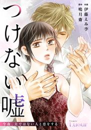 つけない嘘～今夜、夫ではない人と恋をする～