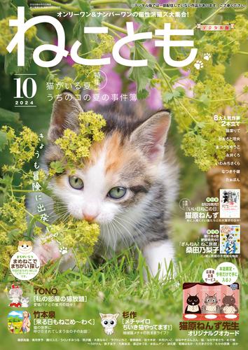 ねことも 93 冊セット 最新刊まで