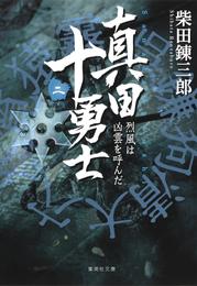 真田十勇士（二）　烈風は凶雲を呼んだ