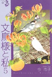 文鳥様と私(5)