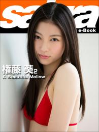 A Beautiful Mallow　権藤葵2 [sabra net e-Book]