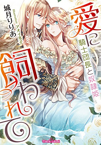 [ライトノベル]愛に飼われて 騎士団長と奴隷姫 (全1冊)