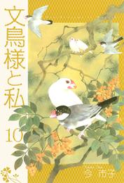 文鳥様と私(10)