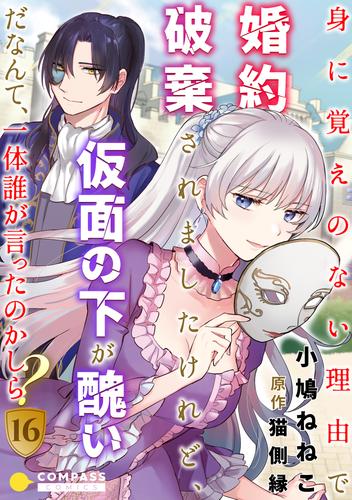 身に覚えのない理由で婚約破棄されましたけれど、仮面の下が醜いだなんて、一体誰が言ったのかしら？（16）