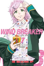 ＷＩＮＤ　ＢＲＥＡＫＥＲ（７）