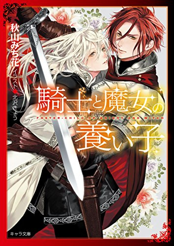 [ライトノベル]騎士と魔女の養い子 (全1冊)