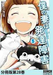 僕の妻は発達障害　分冊版第28巻